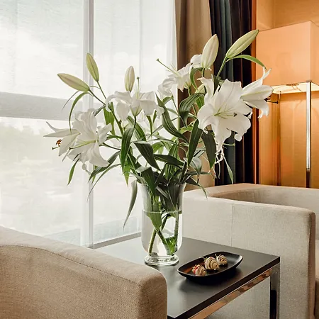 Hotel Plaza 4*